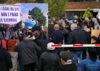 Trau në Parkun e Divjakës/ Pas protestave të banorëve të zonës, Qeveria Rama tërhiqet dhe vendos…