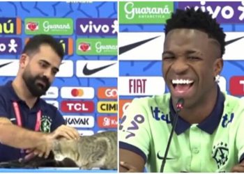 Një mace ndërprenë konferencën e Brazilit, Vinicius ‘nervozohet’ nga mënyra se e largon…