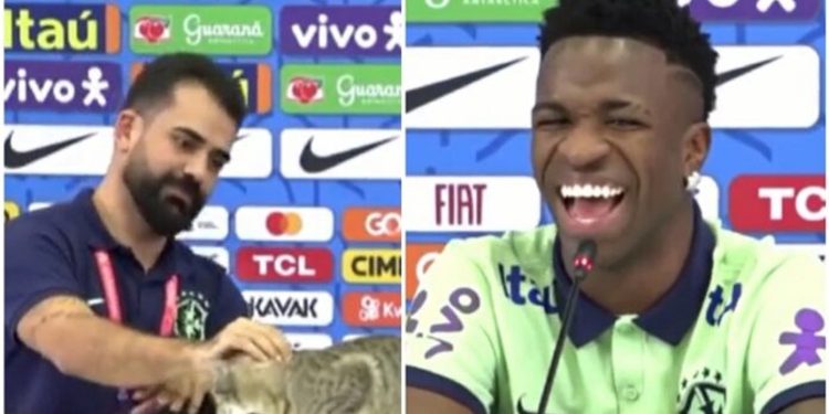 Një mace ndërprenë konferencën e Brazilit, Vinicius ‘nervozohet’ nga mënyra se e largon…