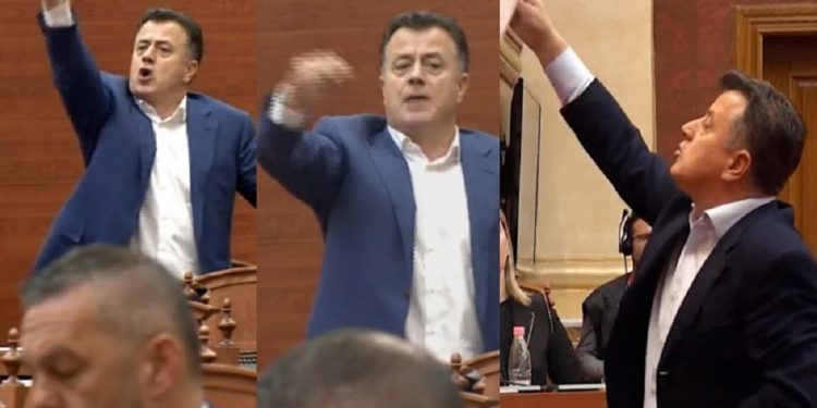 “Je legen”/ Plas SHERRI mes PD në Kuvend, Noka e Alibeaj “shpërthejnë”: Ta tregoj unë…