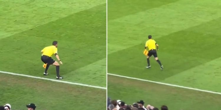 VIDEO që po thyen rrjetin, gjyqtari anësor harron dhe futet në fushë në golin e Argjentinës