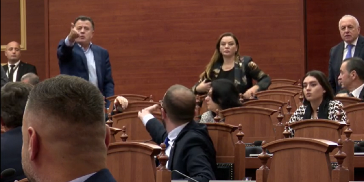 “Plas” brenda demokratëve/ Përjashtohet Noka nga grupi parlamentar i PD, vendimi i Alibeaj shkakton…