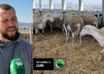 “Marr 400 litra qumësht dele në ditë”/ Merrni shembull nga djali vlonjat: Iu bëj thirrje të rinjve të…