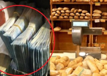 E pazakontë! Turistët holandezë harrojnë 15 mijë Euro në furrën e bukës!