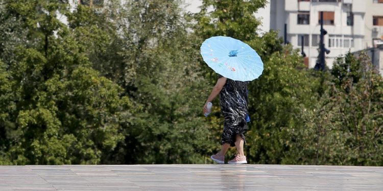 Vjen pranvera në shkurt, surprizat e motit: Duke nisur nga nesër…