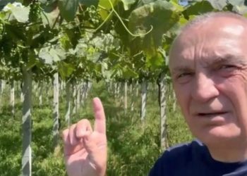 Ilir Meta hap “thesin”: Ne do të japim 1 mijë Euro për çdo…