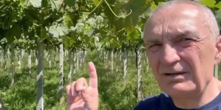 Ilir Meta hap “thesin”: Ne do të japim 1 mijë Euro për çdo…
