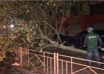 “Çmendet” moti në vend, stuhia rrëzon pemët në “mes” të rrugës në qytetin…