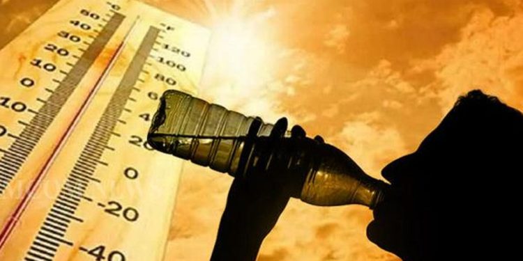 Temperatura 43 gradë/ Mjeku u tregon Shqiptarëve çfarë të bëni: Kujdes! Mos pini…