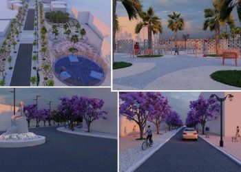 Larg Tiranës! Bulevardi i palmave dhe agrumeve, 3.4 mln euro për projektin në qytetin…