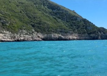 “Shqipëria konkurron Greqinë”: Jehona për projektin e vajzës së Donald Trump…