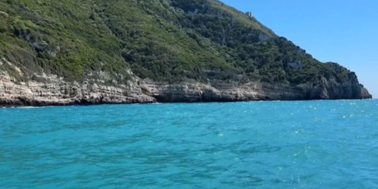 “Shqipëria konkurron Greqinë”: Jehona për projektin e vajzës së Donald Trump…