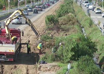 Veliaj tregon ku do t’i çojë “palmat” që po shkulen nga autostrada Tiranë-Durrës…