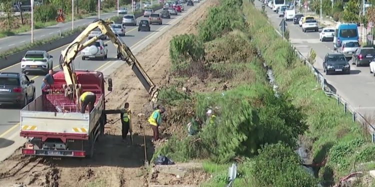 Veliaj tregon ku do t’i çojë “palmat” që po shkulen nga autostrada Tiranë-Durrës…