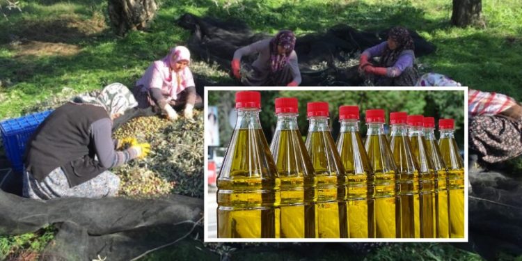 Kap çmimin rekord në Shqipëri/ Nuk do ta besoni sa kushton 1 litër vaj ulliri…