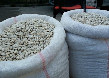 Fasulja kapin çmim rekord në Shqipëri/ Nuk do ta besoni sa kushton 1 kg groshë…
