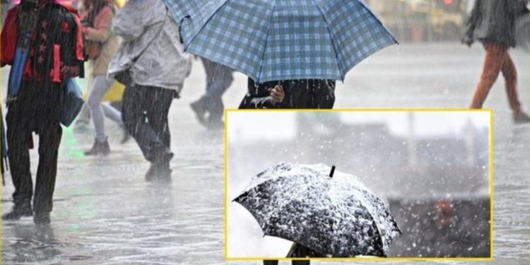 “Non Grata” e Berishës? Arta Dade tregon prapaskenat çfarë ndodh kur ndryshon qeveria në SHBA…