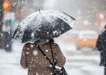 Acari siberian/ Nga sot nis kthesa e motit, kush është qyteti më i ftohtë i Shqipërisë