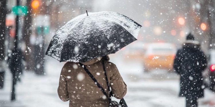 Acari siberian/ Nga sot nis kthesa e motit, kush është qyteti më i ftohtë i Shqipërisë