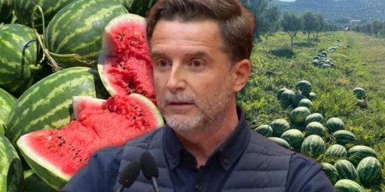 Braçe i shqetësuar, i lutet qytetarëve dhe biznesmenëve: Blini…