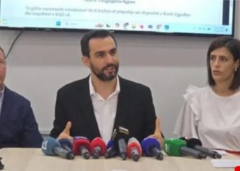 E turpshme! Partia e Lapajt e konfirmon: Do të rreshtohemi në krah të Berishës…