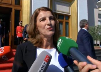 “Ka origjinë greke”/ Kushërira deputete e Lapajt paraqitet në Kuvend: Jam…
