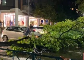 LAJM I FUNDIT/ Era e fortë thyen pemën në Tiranë, bllokohet qarkullimi në rrugën…