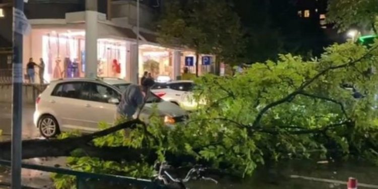 LAJM I FUNDIT/ Era e fortë thyen pemën në Tiranë, bllokohet qarkullimi në rrugën…