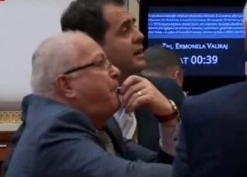 Nuk u zgjodh dot deputet/ “Besniku” i Berishës i lutet Monika Kryemadhit: Më gjej punë…