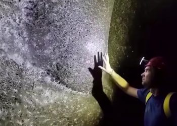 VIDEO/ Zbulim i jashtëzakonshëm shkencor në kufirin Shqipëri – Greqi…