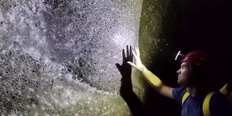 VIDEO/ Zbulim i jashtëzakonshëm shkencor në kufirin Shqipëri – Greqi…