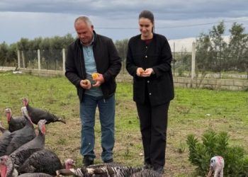 Deputetja e PS befason: Sot e kalova ditën me gjelat e detit, mezi pres t’i…