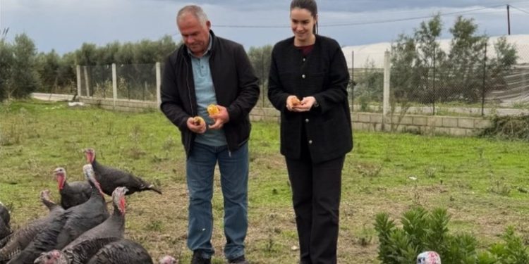 Deputetja e PS befason: Sot e kalova ditën me gjelat e detit, mezi pres t’i…