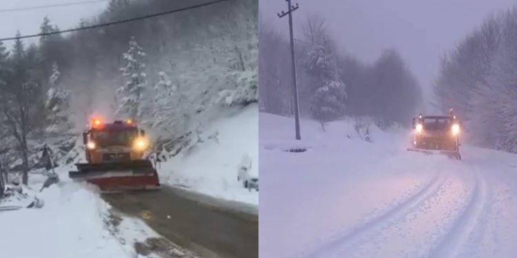 Reshje të dendura të dëborës! Një tjetër zonë “zgjohet” e zbardhur, trashësia arrin…