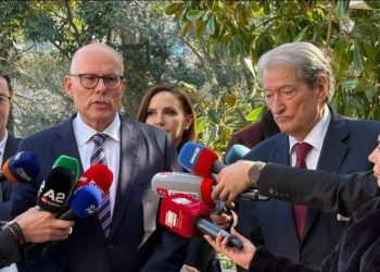 “Nuk bashkëpunojmë me non grata”/ Çfarë deklaronte deputeti Gjerman për Sali Berishën