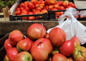 Kapin çmim rekord në treg/ Nuk do ta besoni sa ka shkuar çmimi i domates…