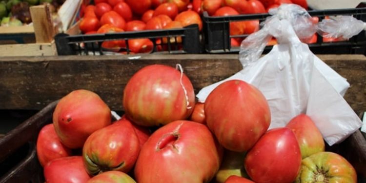 Kapin çmim rekord në treg/ Nuk do ta besoni sa ka shkuar çmimi i domates…