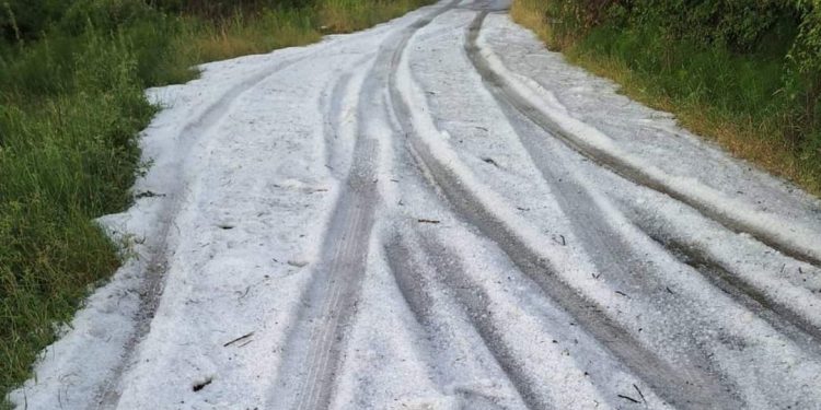 Kapriçot e motit/ Pamje të pabesueshme! Breshëri si dëborë “pushton” këtë zonë të Shqipërisë, shkatërron…