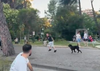 “Ramës i hani…”/ Dalin PAMJET, momenti kur protestuesit ndjekin të riun me pitbull