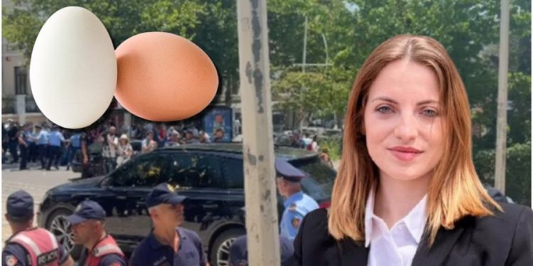 Ftoi protestuesit ta qëllojnë me vezë/ Koçeku: Nëse të bëhet pak pis kostumi…