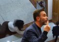 Shehaj ‘vodhi’ dokumentin sekret, Braçe: E goditi me brryl….