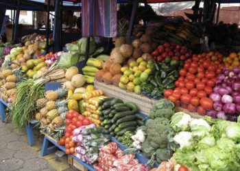 Kush është qyteti që prodhon më shumë fruta në Shqipëri, ja renditja…