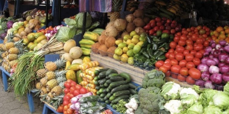 Kush është qyteti që prodhon më shumë fruta në Shqipëri, ja renditja…