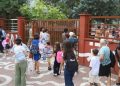 Rregulla të reja/ Dita e parë e shkollës nis me ndryshime, ndalohet…
