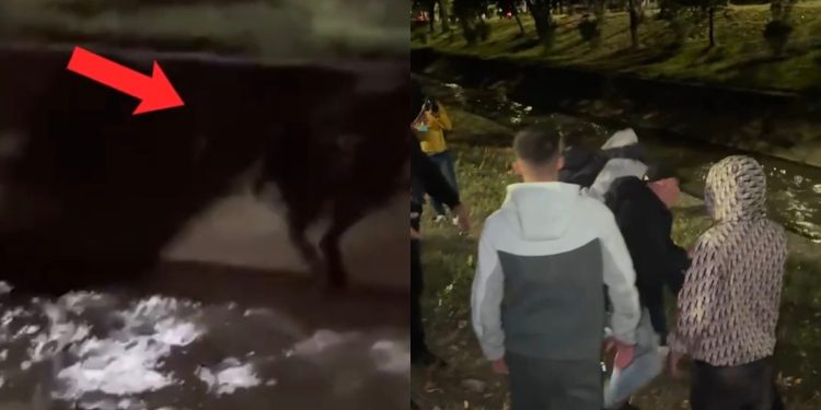Qesharake! Protestuesit godasin me gur deputetin Klevis Balliu, ai hidhet në Lanë për t’iu shpëtuar (VIDEO)
